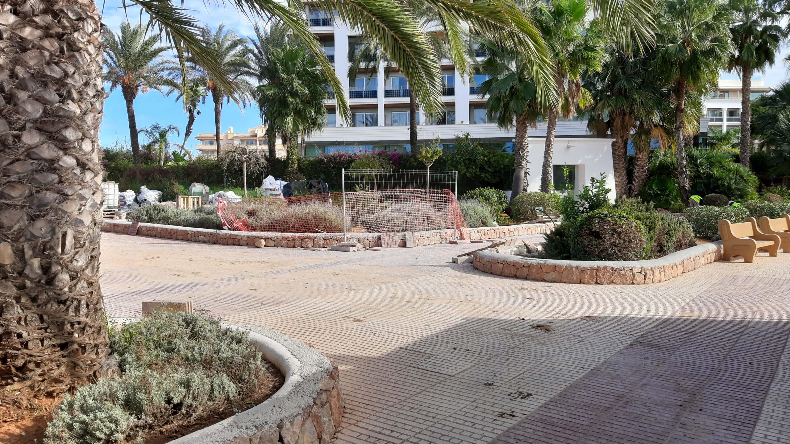 20221128 Renovacion jardineras Paseo Maritimo ahorro agua 4 scaled